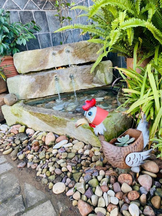 Cottonwood Guesthouse Oasis Bloemfontein Kültér fotó